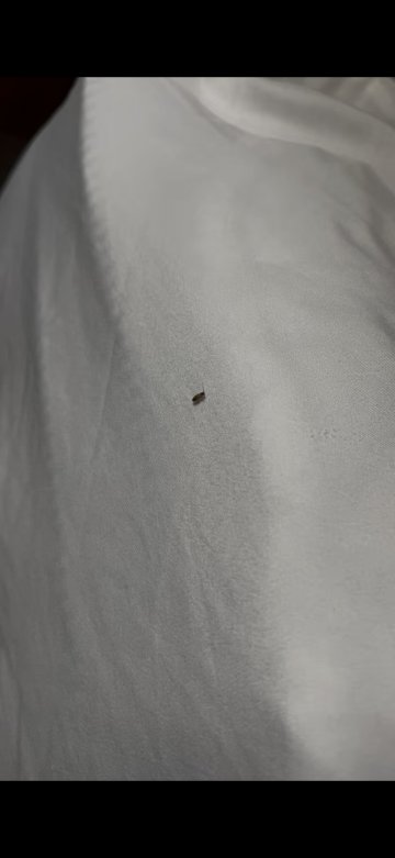 哥伦比亚西舒适酒店-客卧