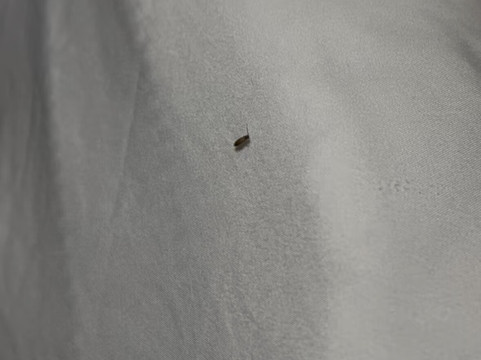 哥伦比亚西舒适酒店主图