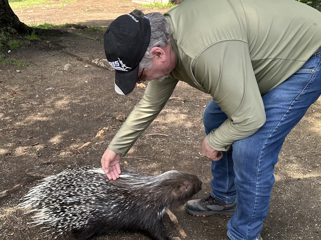Kangaroo Creek Farm-基洛纳必去景点