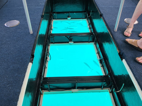 Bermuda Reef Explorer-汉密尔顿必去景点