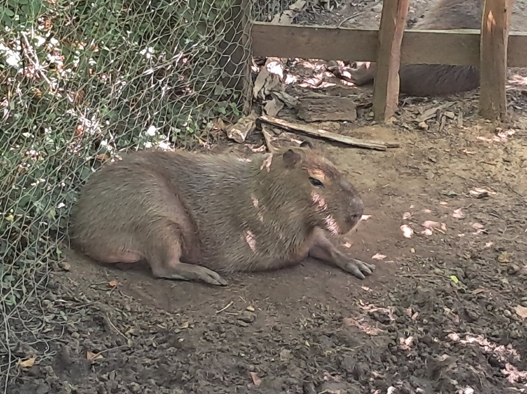 Réserve Zoologique De Calviac-Calviac-en-Perigord必去景点