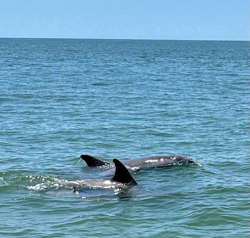 Captain Casey's Island Cruises