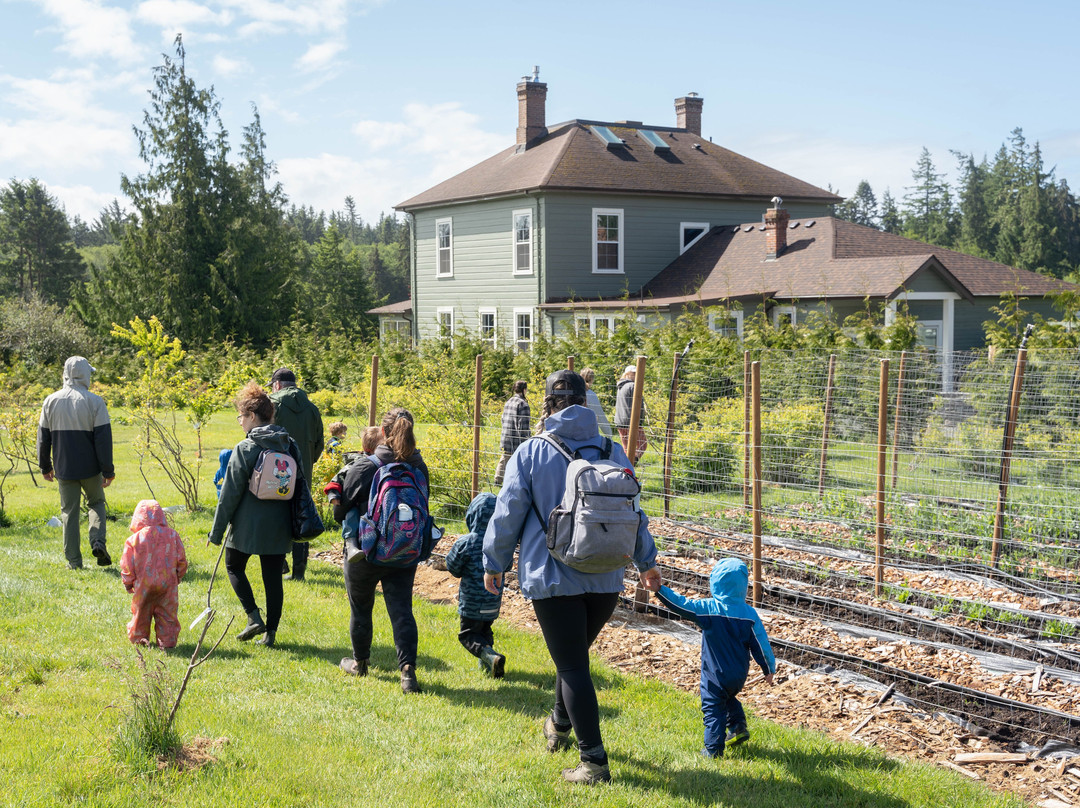 Woodside Farm-苏克必去景点
