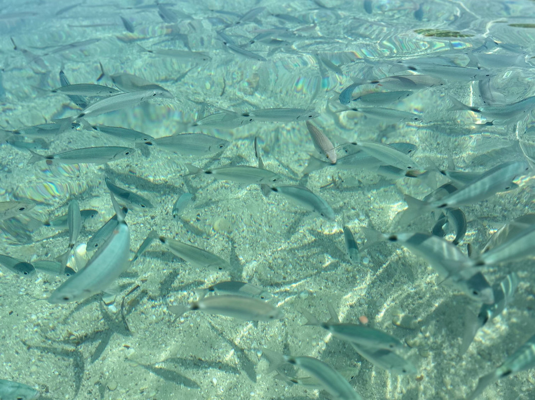 Fanari Beach-Meganisi必去景点
