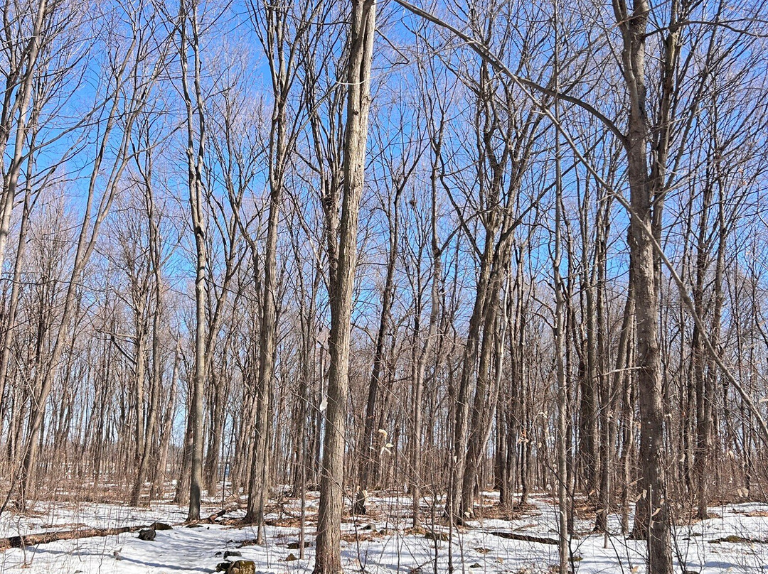 Parc Regional des Iles-de-Saint-Timothee-Salaberry-de-Valleyfield必去景点