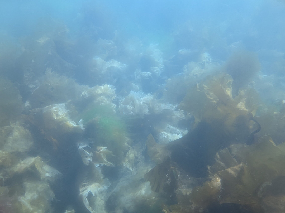 Seaprobe Atlantis-Kyle of Lochalsh必去景点