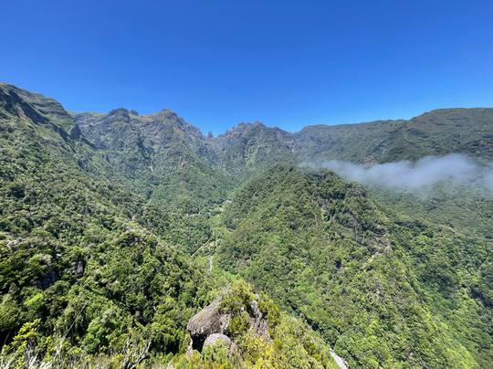 Martin Freitas Taxi Driver-沙尔必去景点