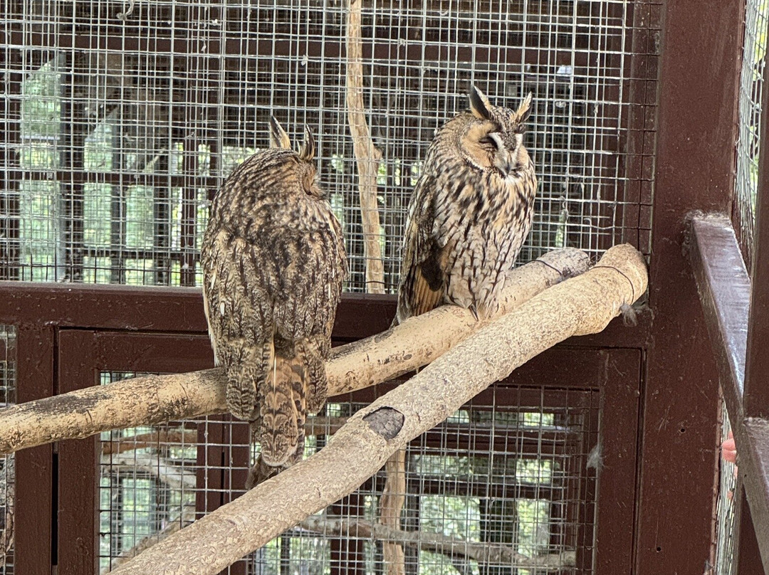 Safari Park-Gelendzhik必去景点
