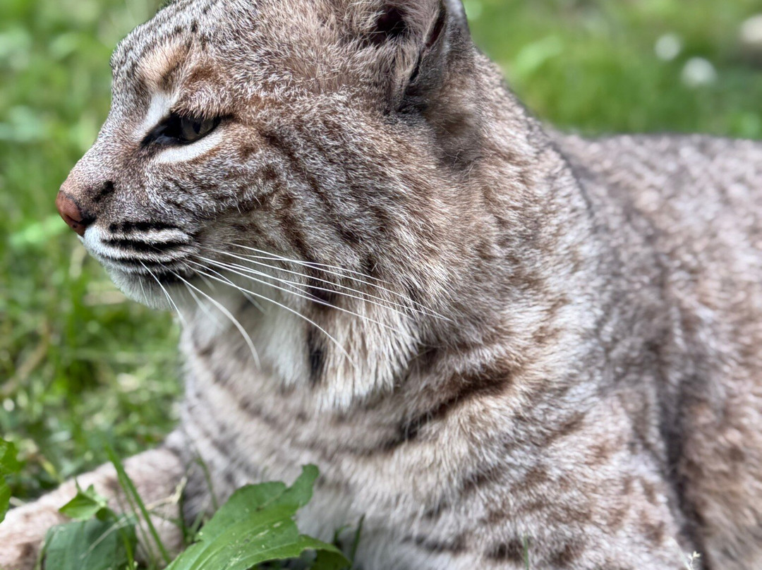 Indian Creek Zoo-Lambertville必去景点