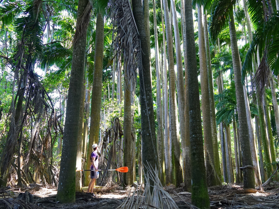 Mkg Centre Nautique-Deshaies必去景点