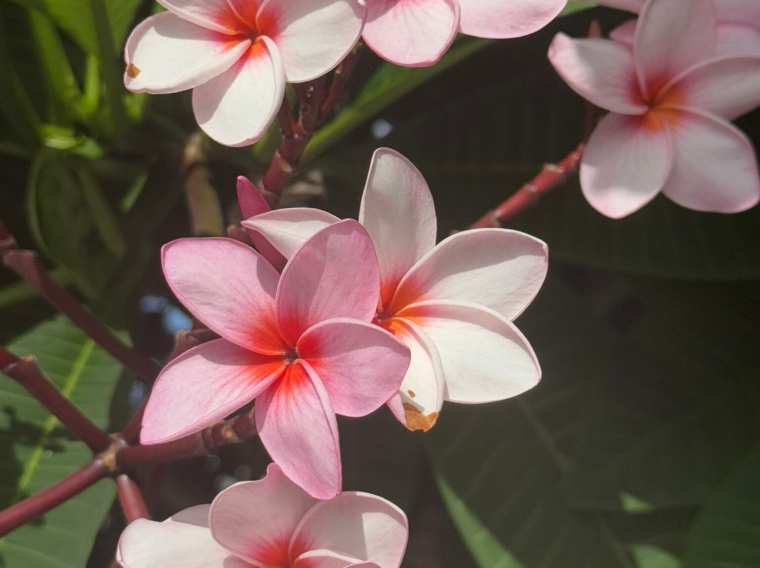 Thuishaven Boutique Mini-Resort主图