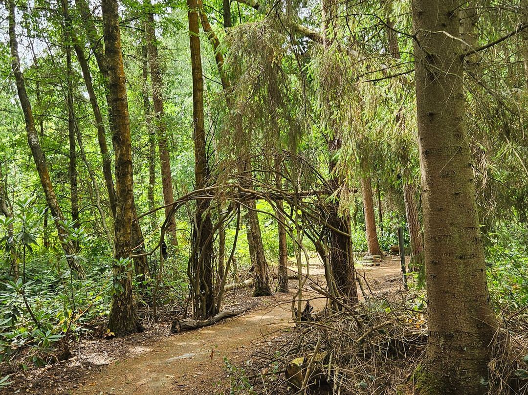 Northwood Trail – England’s Fairy Sanctuary-约克必去景点