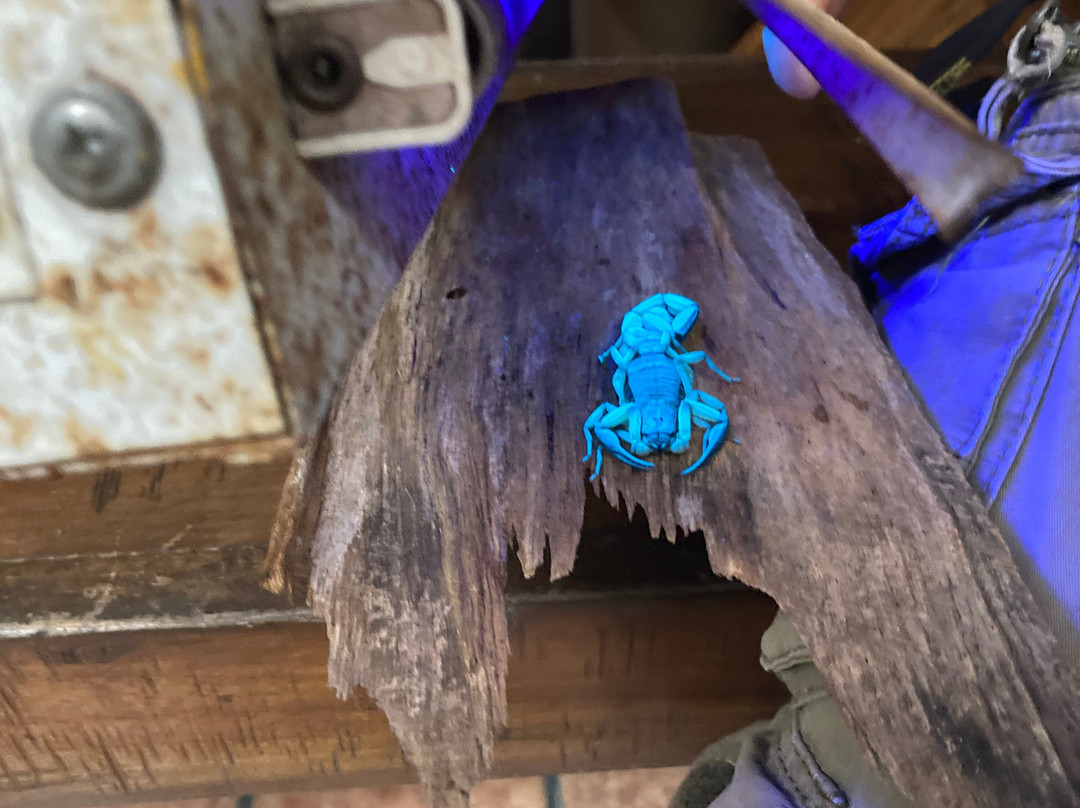 Mariposario Alas del Destino-圣卡洛斯必去景点