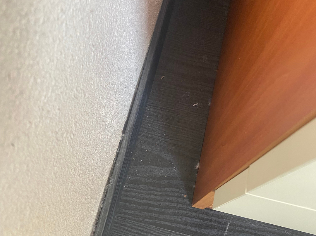 Hotel Florence主图