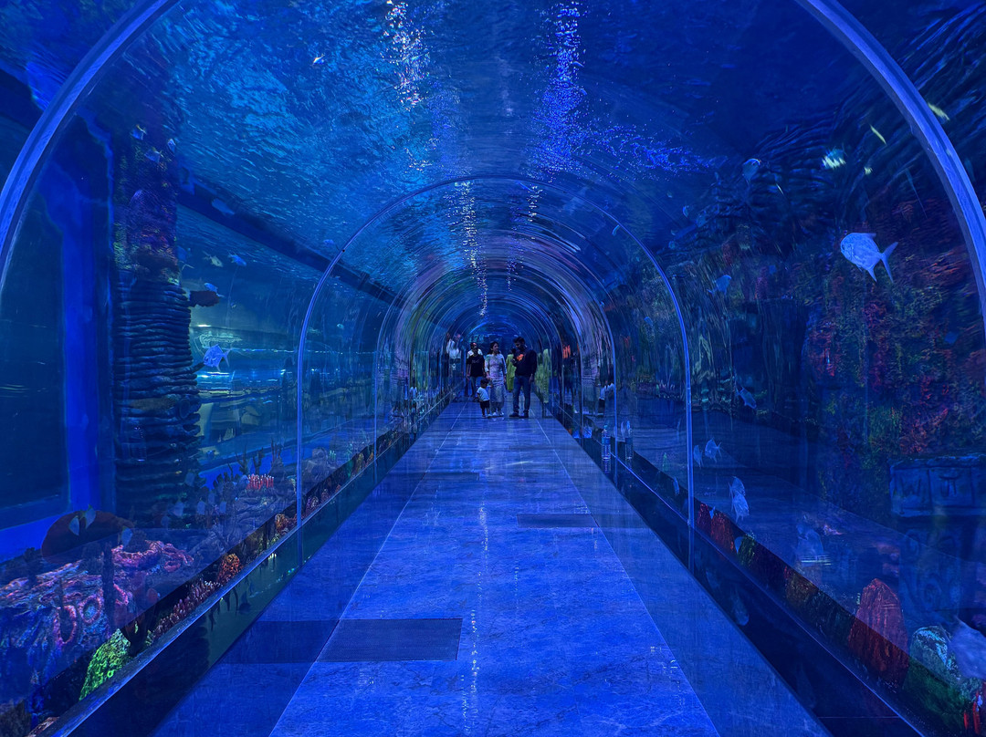 Aquarium Paradise-班加罗尔必去景点
