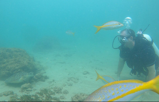 Caribe Aquatic Adventures-圣胡安必去景点