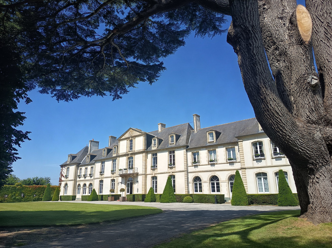Chateau de Sully