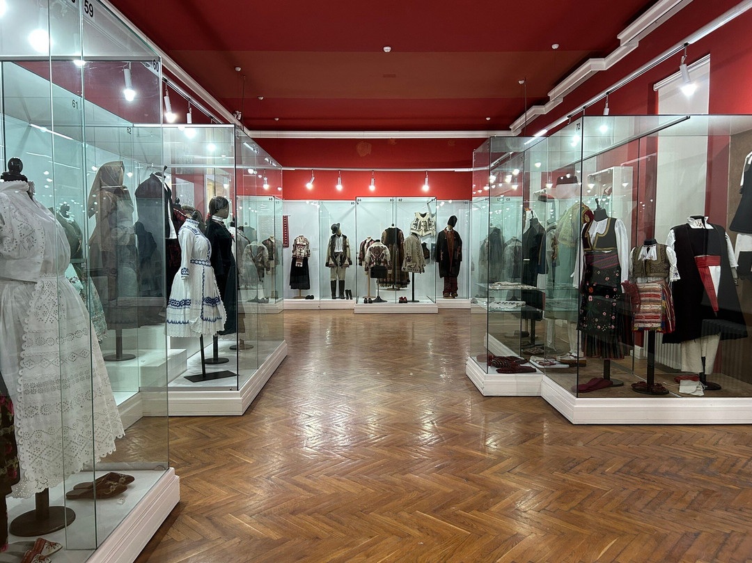 Museum of Vojvodina-诺维萨德必去景点