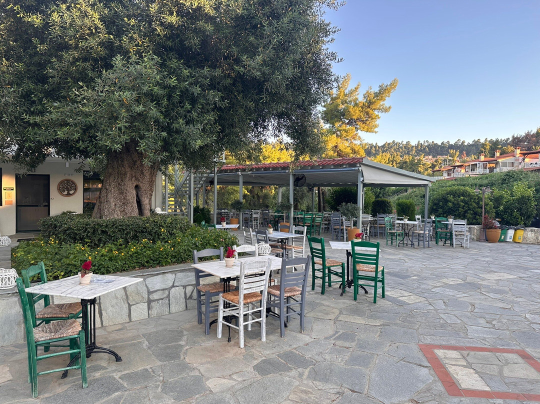 Mirabilia Boutique Hotel主图