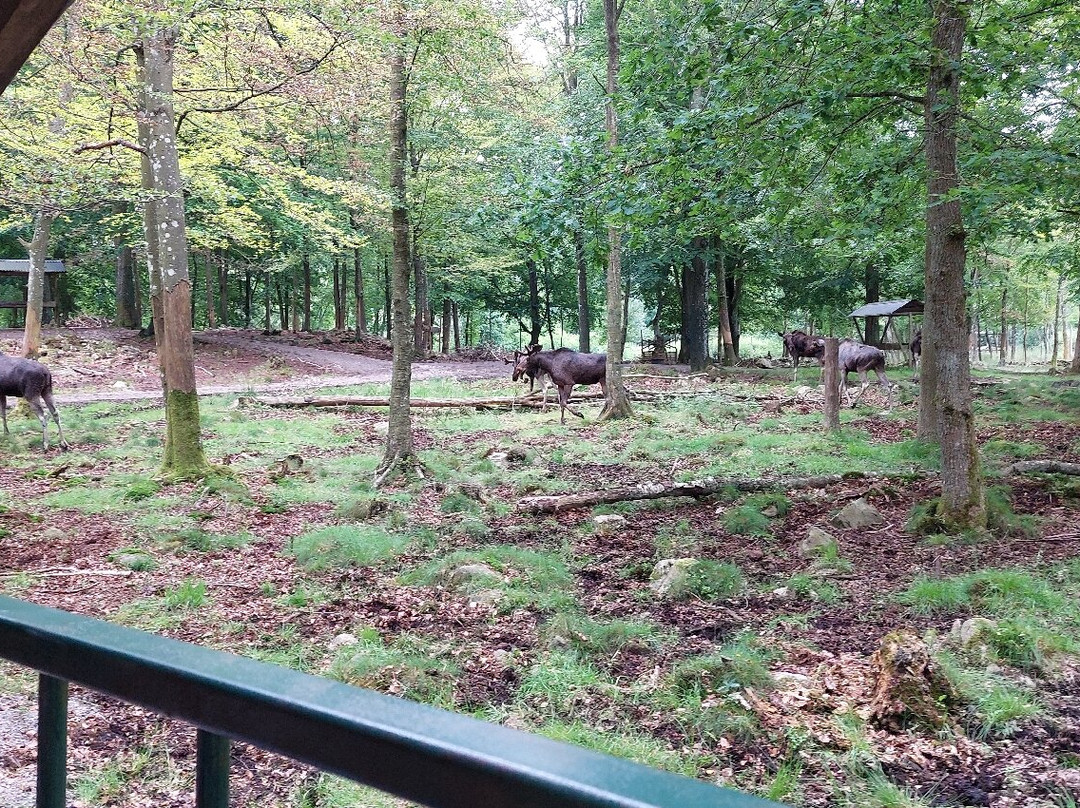 Soderasens Algpark (moosepark)-Kagerod必去景点