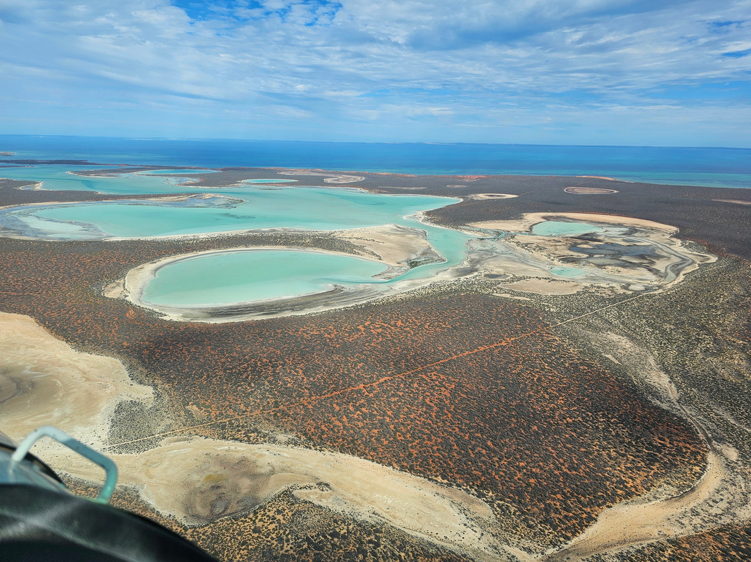 Shark Bay Aviation-德纳姆必去景点