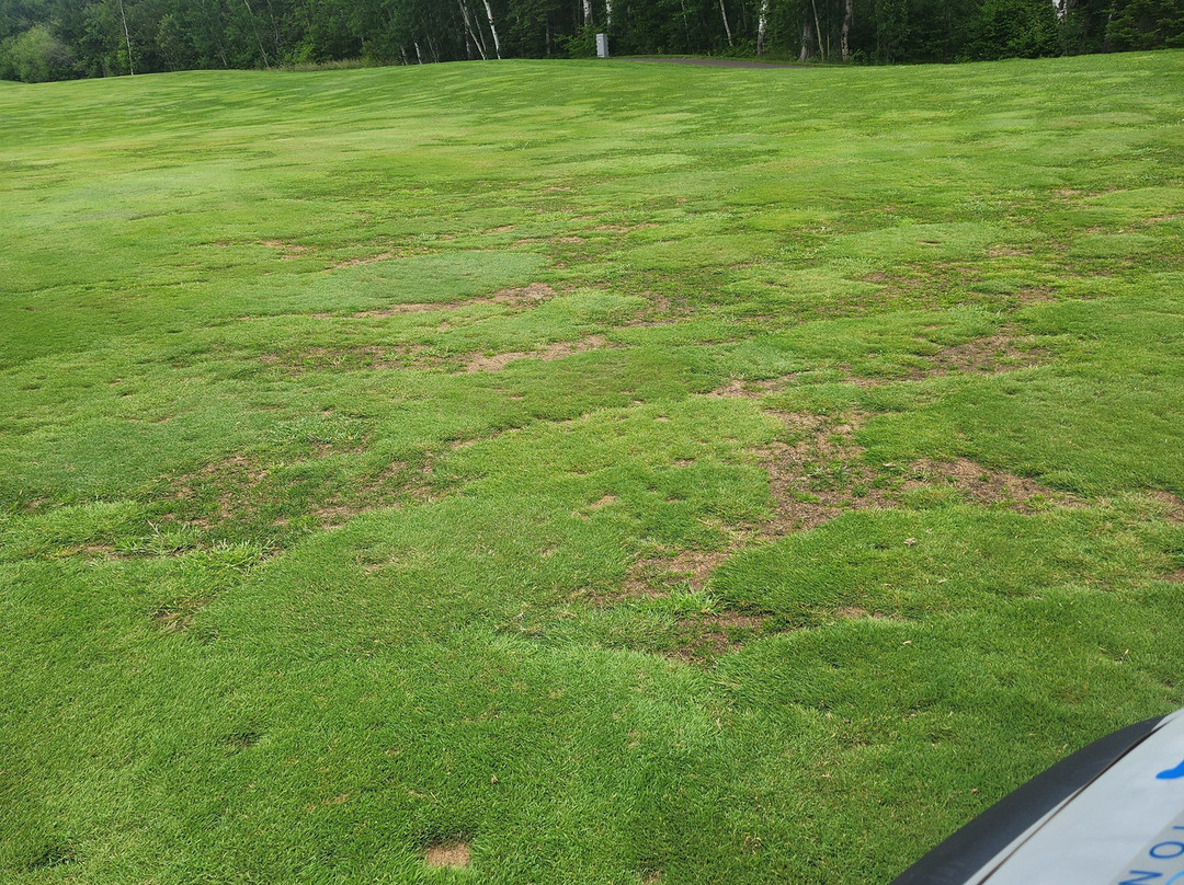 Superior National Golf Course-Lutsen必去景点