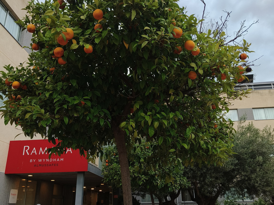 Ramada by Wyndham Valencia Almussafes主图
