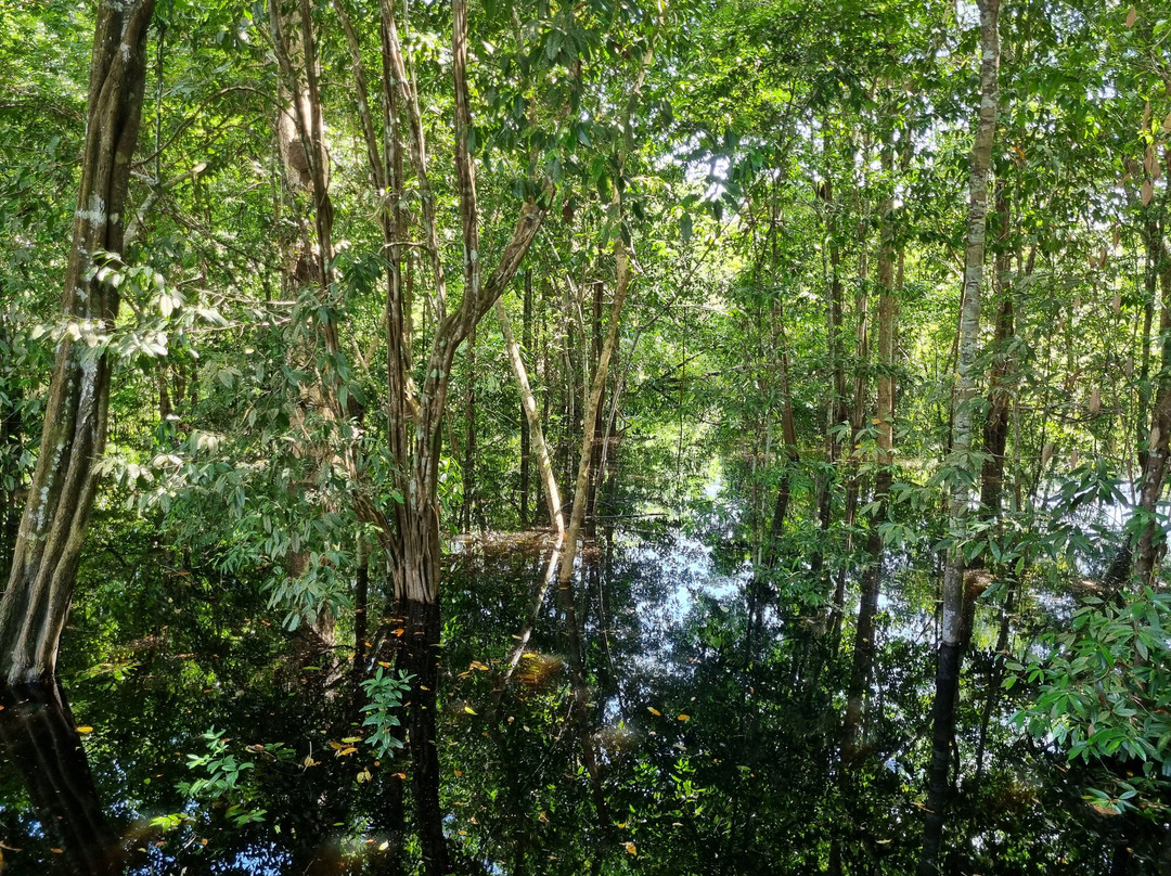 Caboclos House Eco-Lodge主图