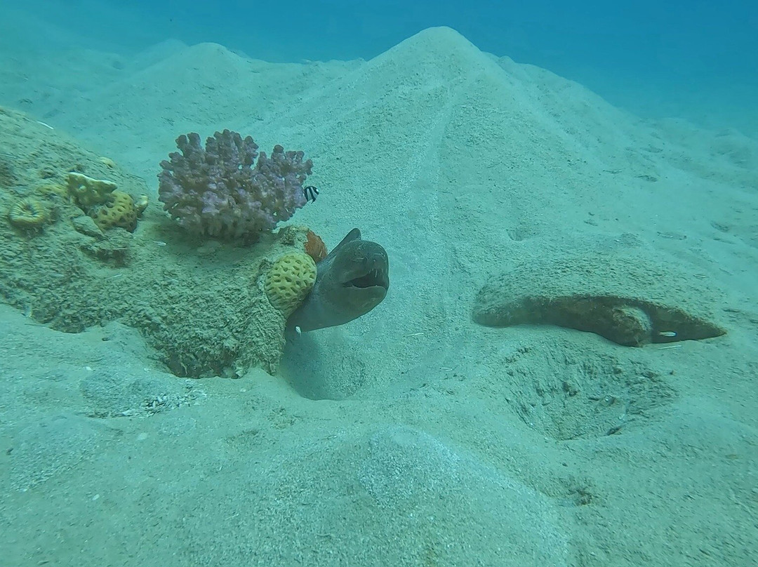 Extra Divers Makadi Bay-马卡迪湾必去景点