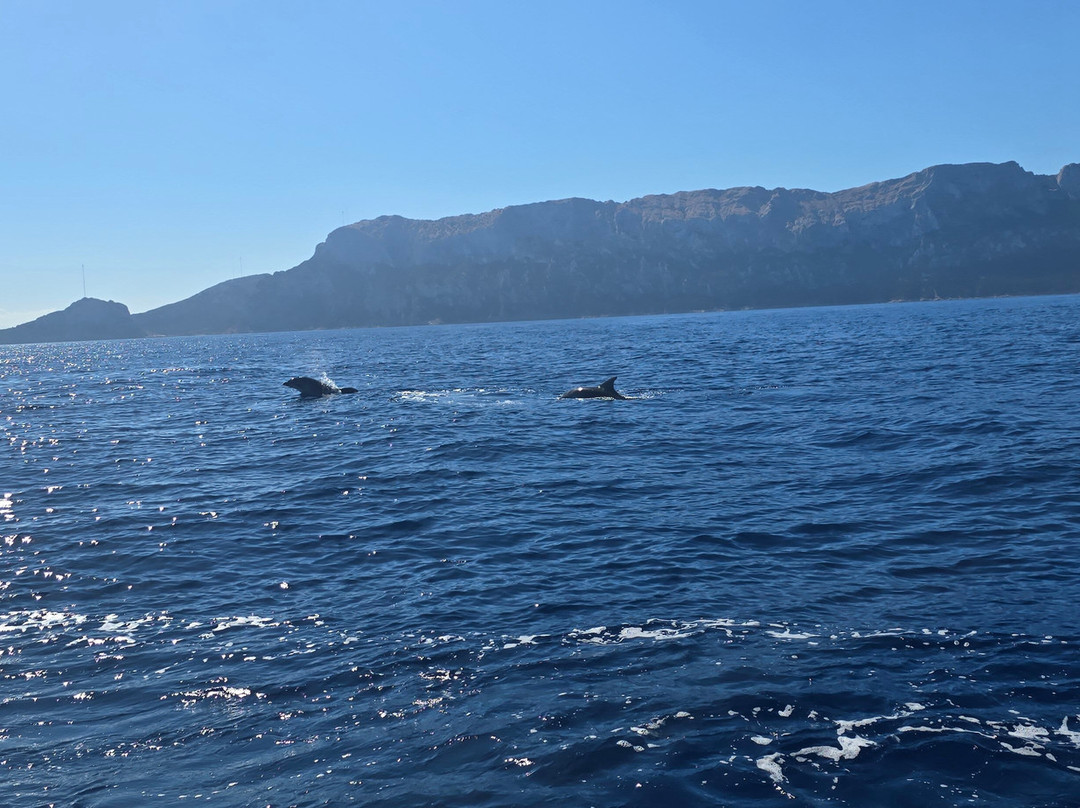 DST- Diving & Snorkelling Team Sardegna-Golfo Aranci必去景点