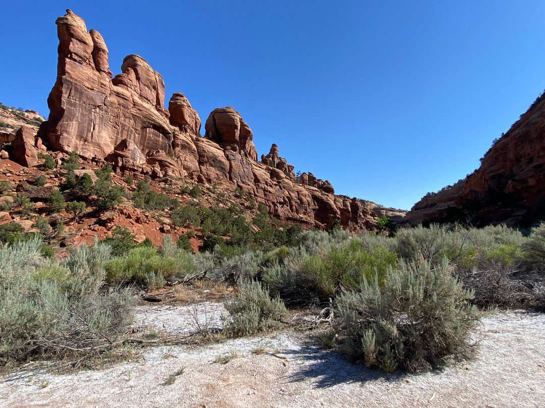 Bangs Canyon Trailhead-大章克申必去景点