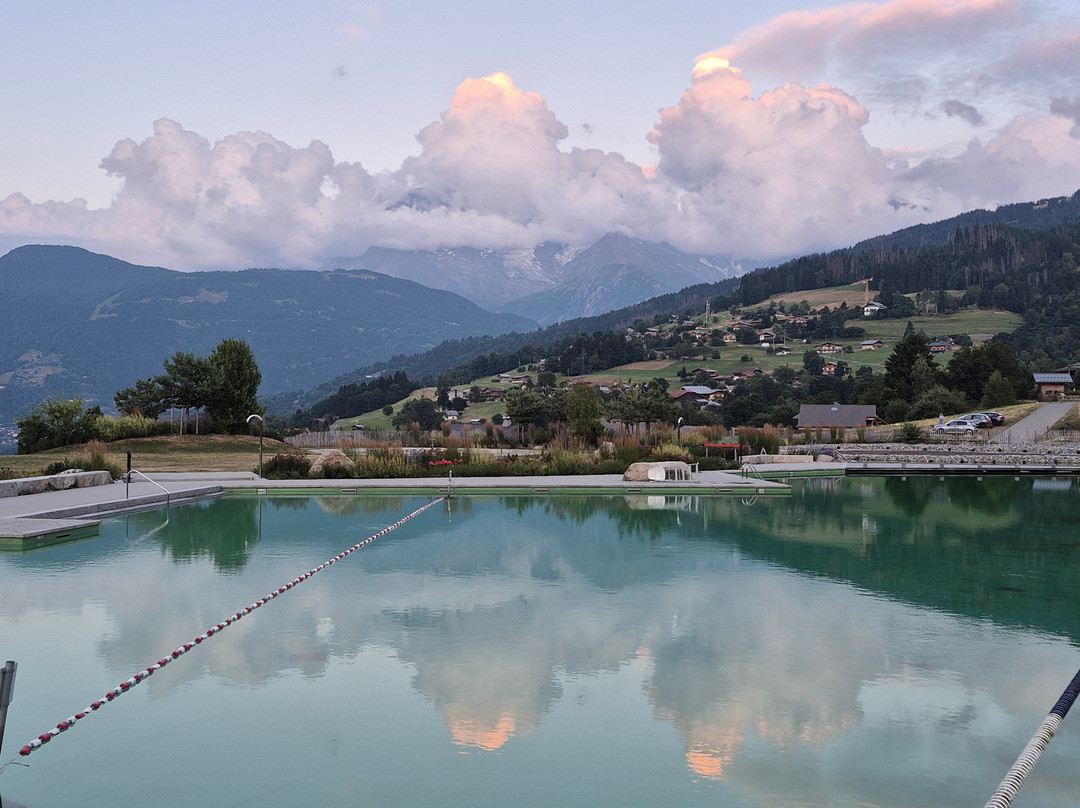 Restaurant Alexperience