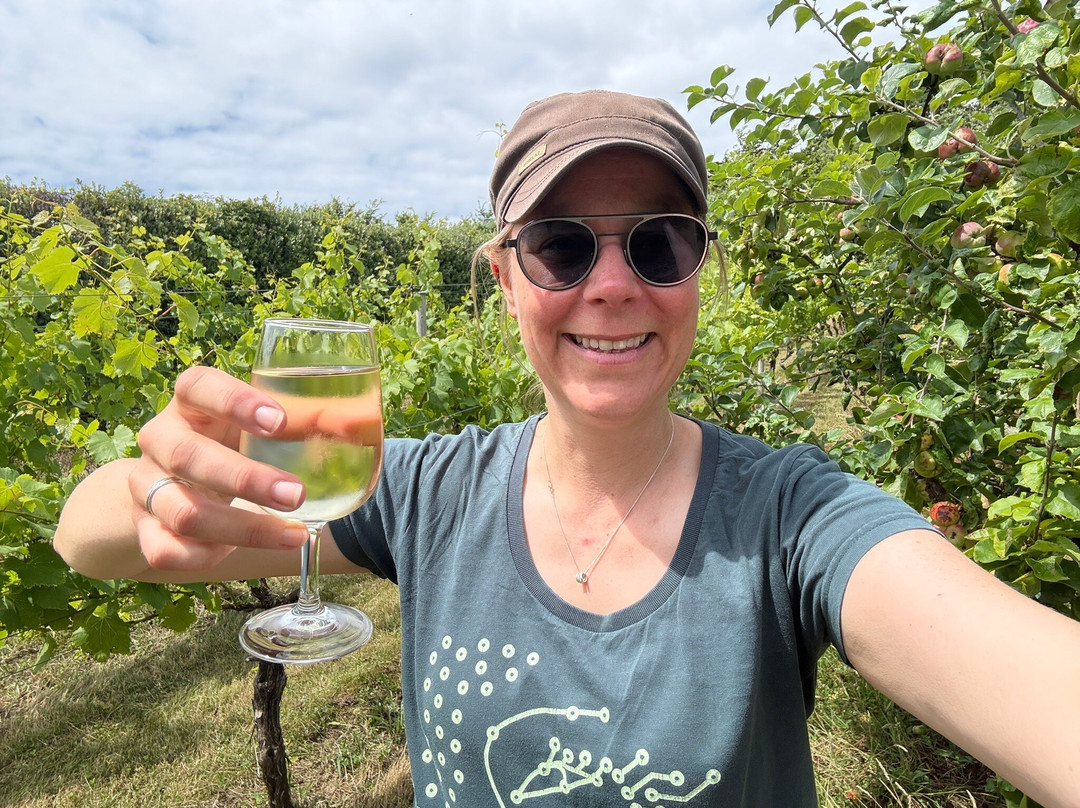 St Martin's Vineyard-St Martin's必去景点