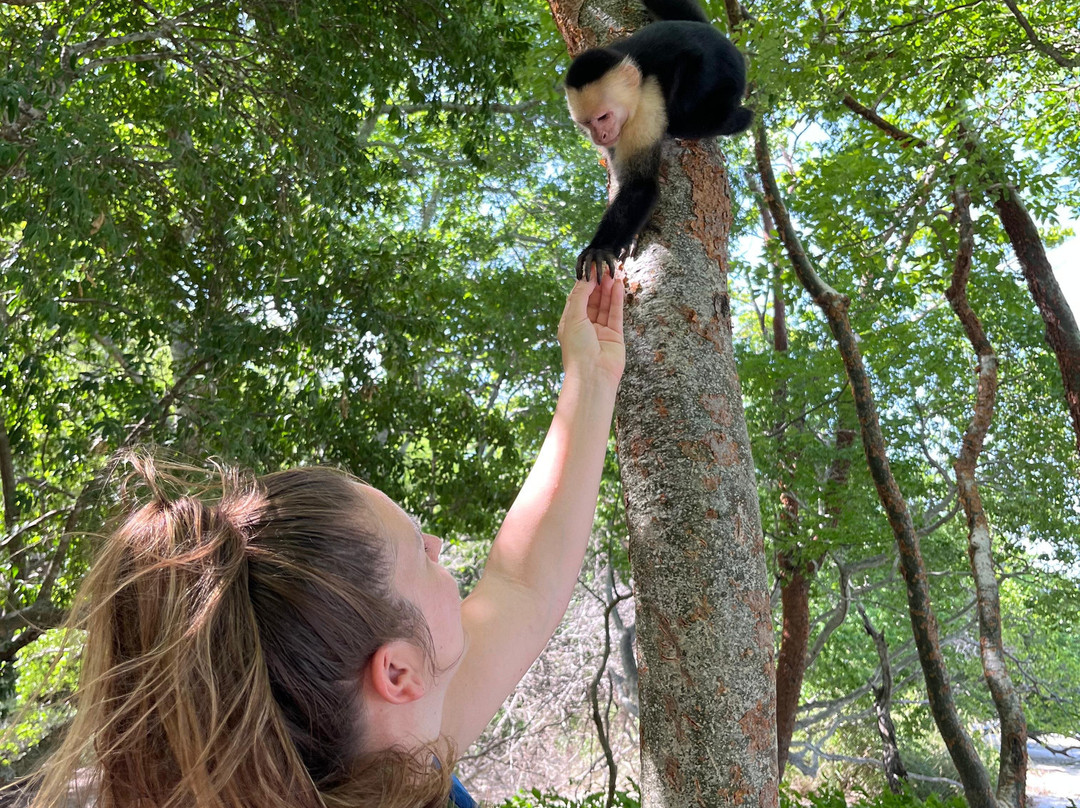 Tours Your Way-Playas del Coco必去景点