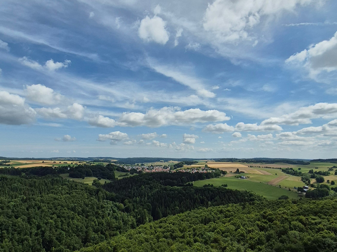 Landgasthof Hotel Hirsch im Grunen主图
