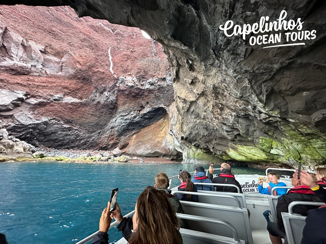 Capelinhos Ocean Tours-奥尔塔必去景点