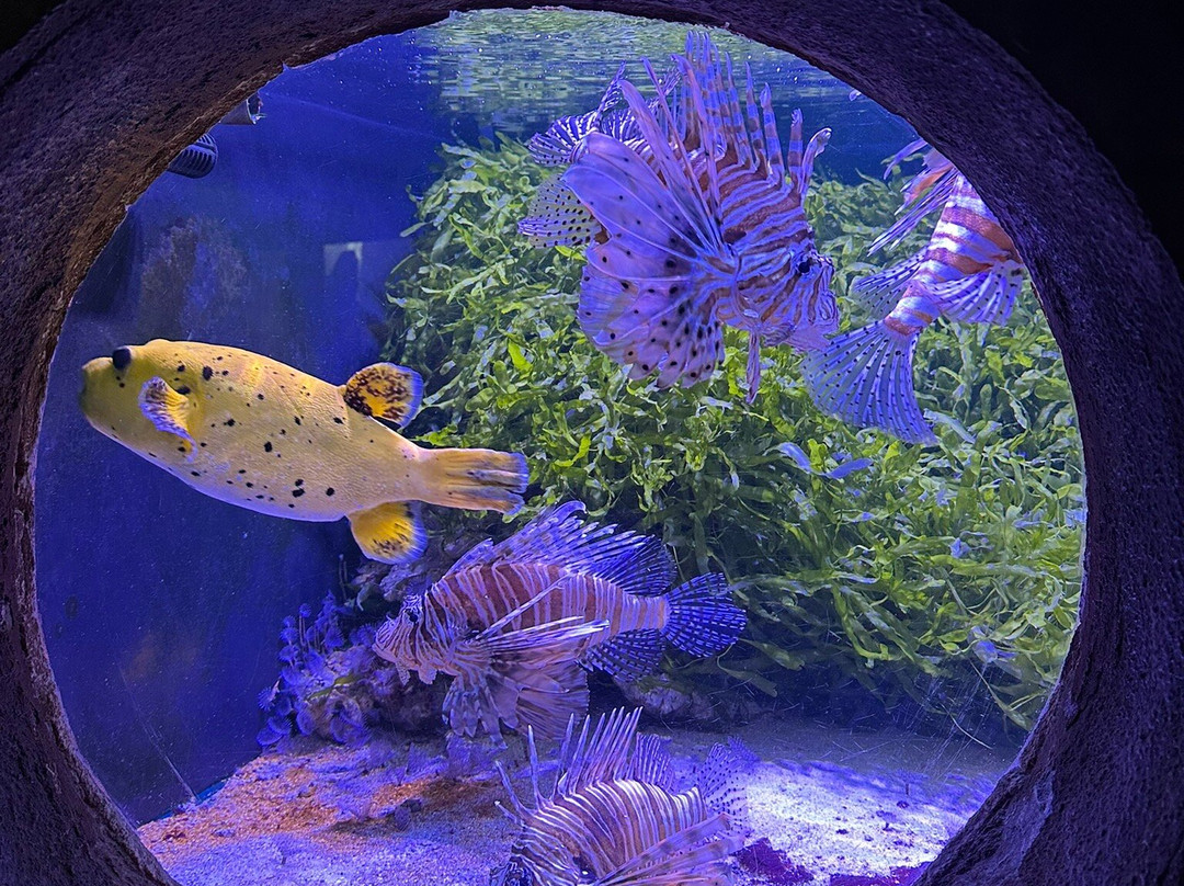 Aquarium d'Amneville-昂内维尔必去景点