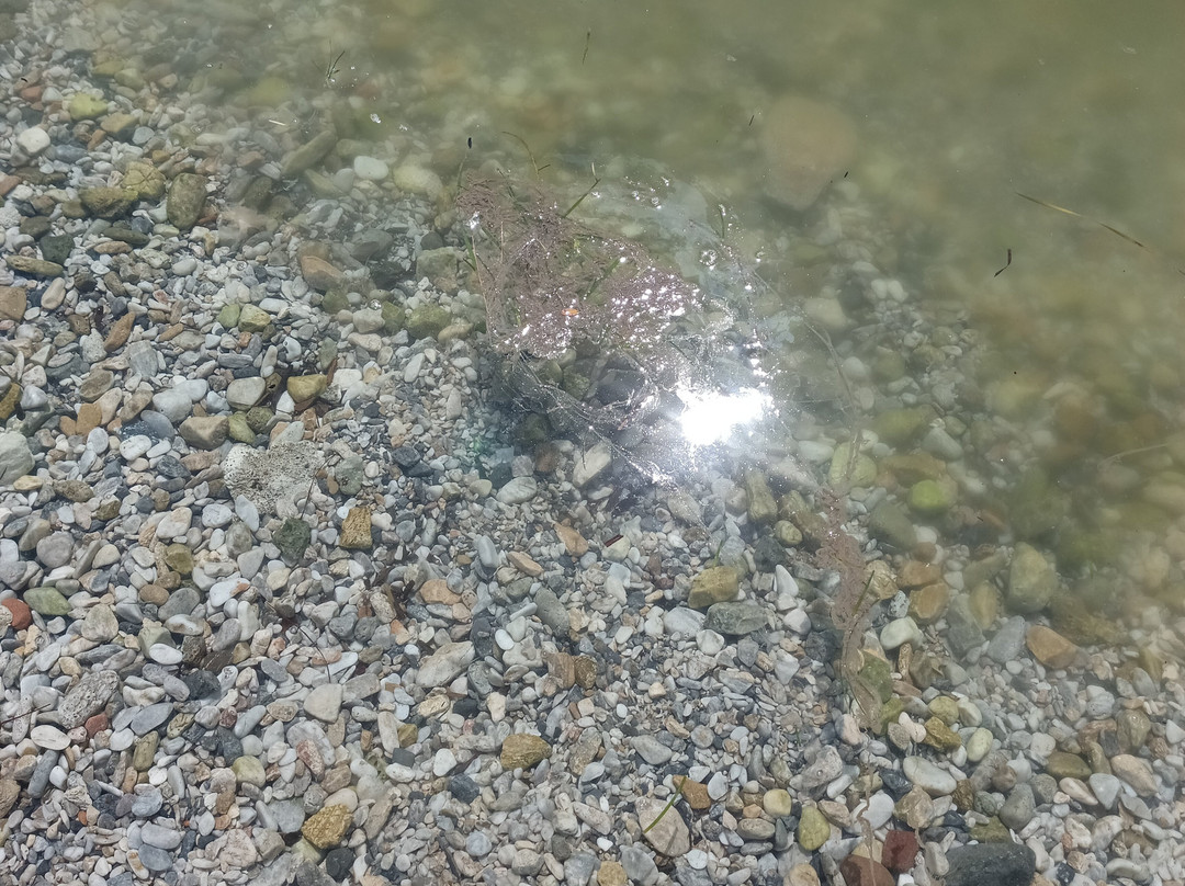 Akbuk Cove-穆拉必去景点