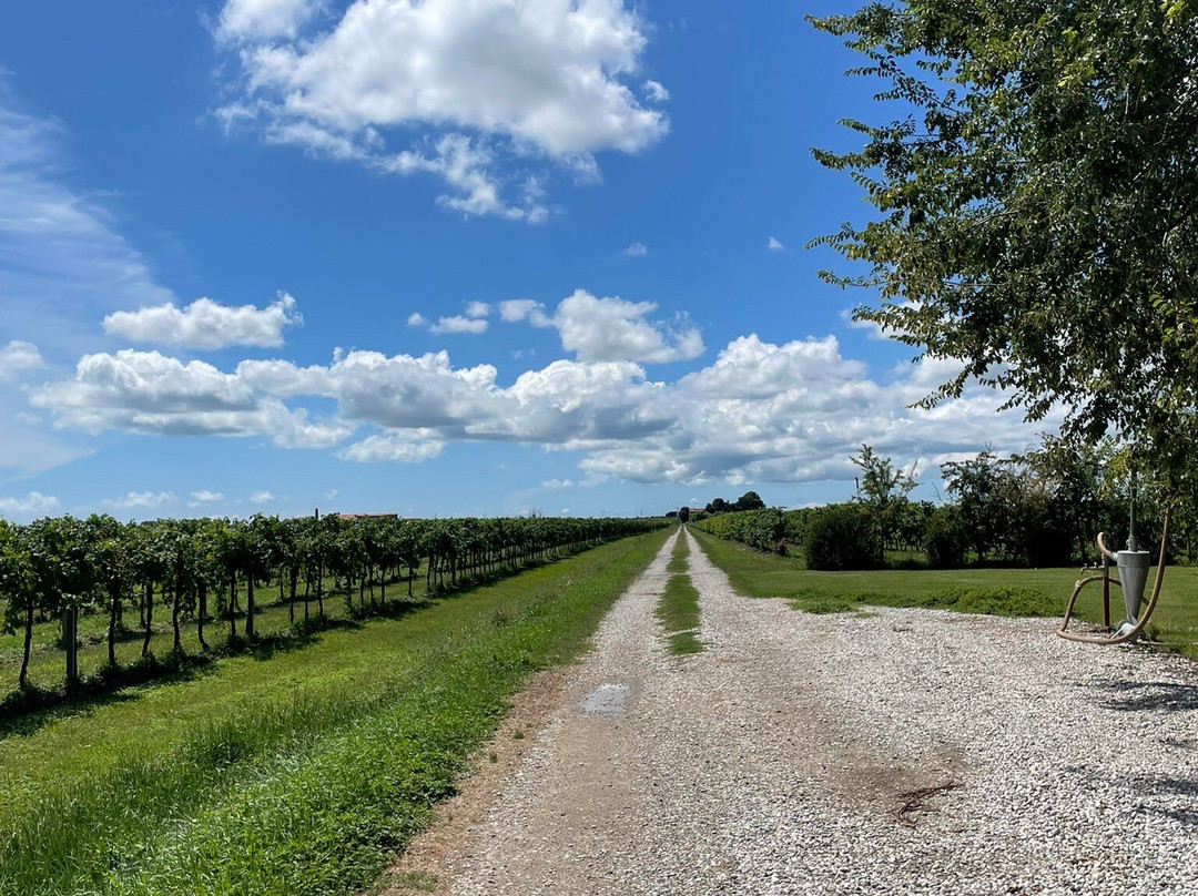 La Frassina-卡奥莱必去景点