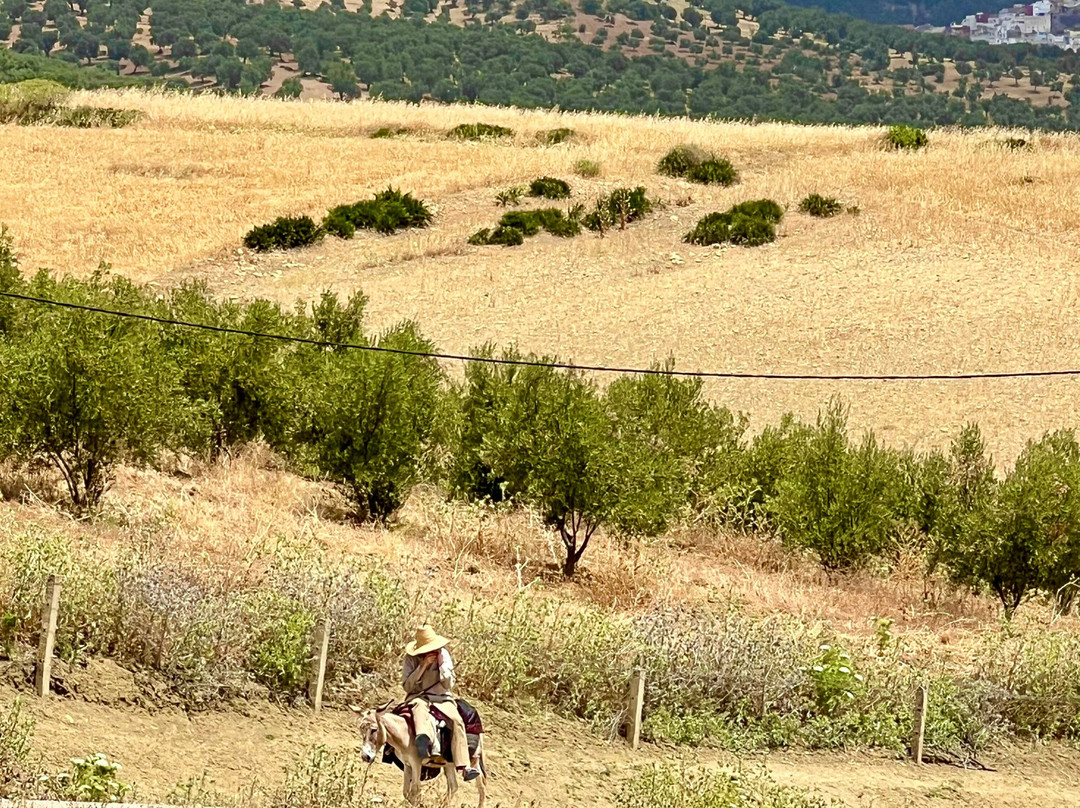 Viajar-Marruecos-马拉喀什必去景点
