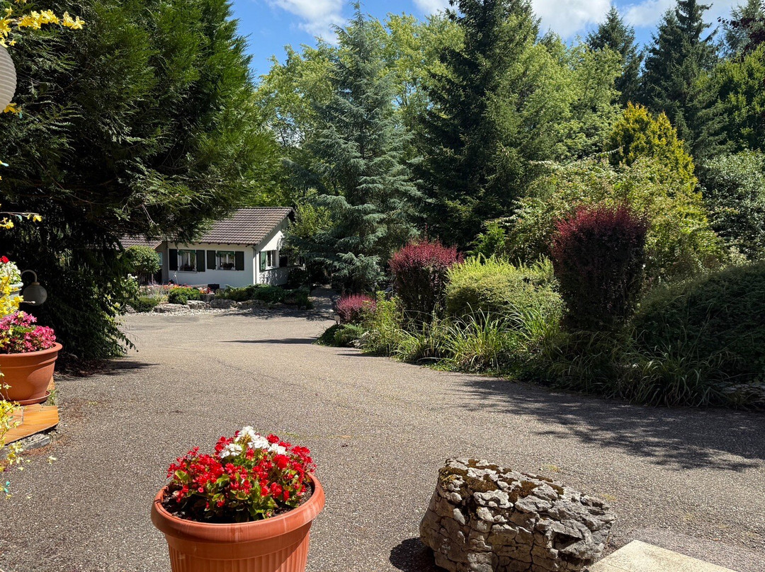 小科尔伯格餐厅酒店主图