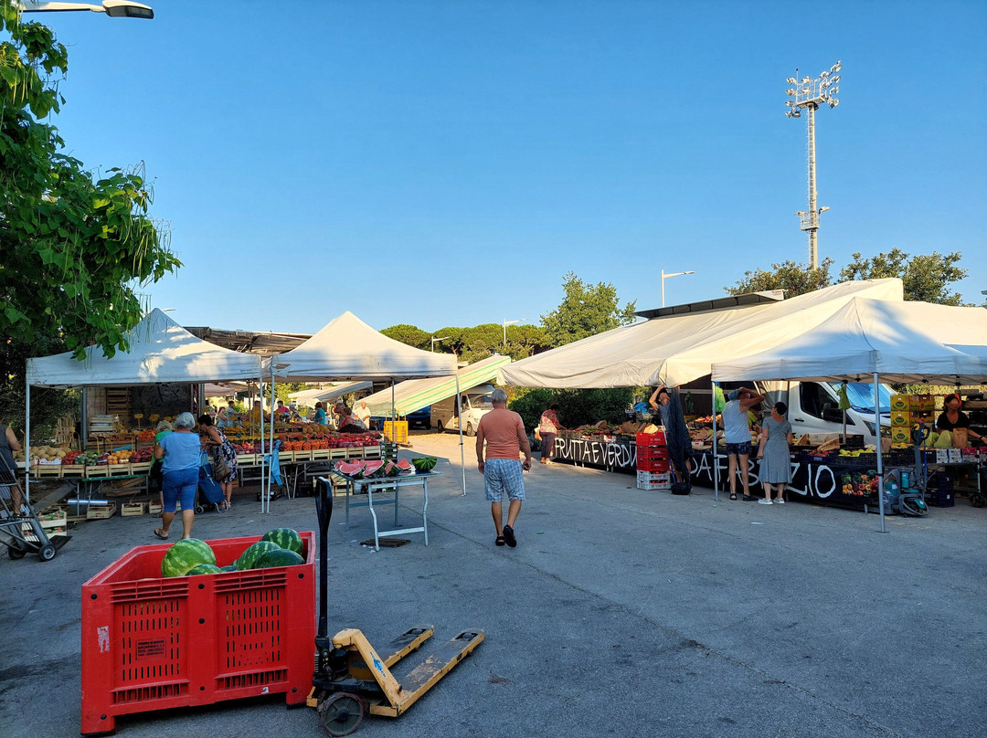 Mercato Settimanale Parco Centrale-福洛尼卡必去景点