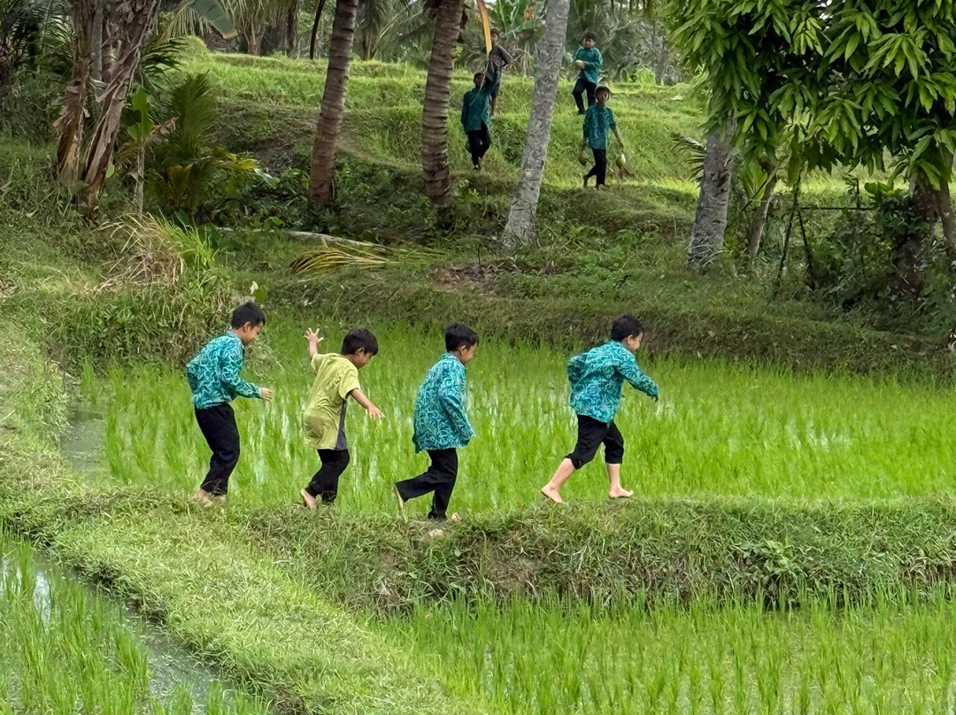 Lombok Bike Trip-Senggigi必去景点
