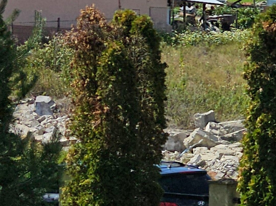 Conacul Archia主图