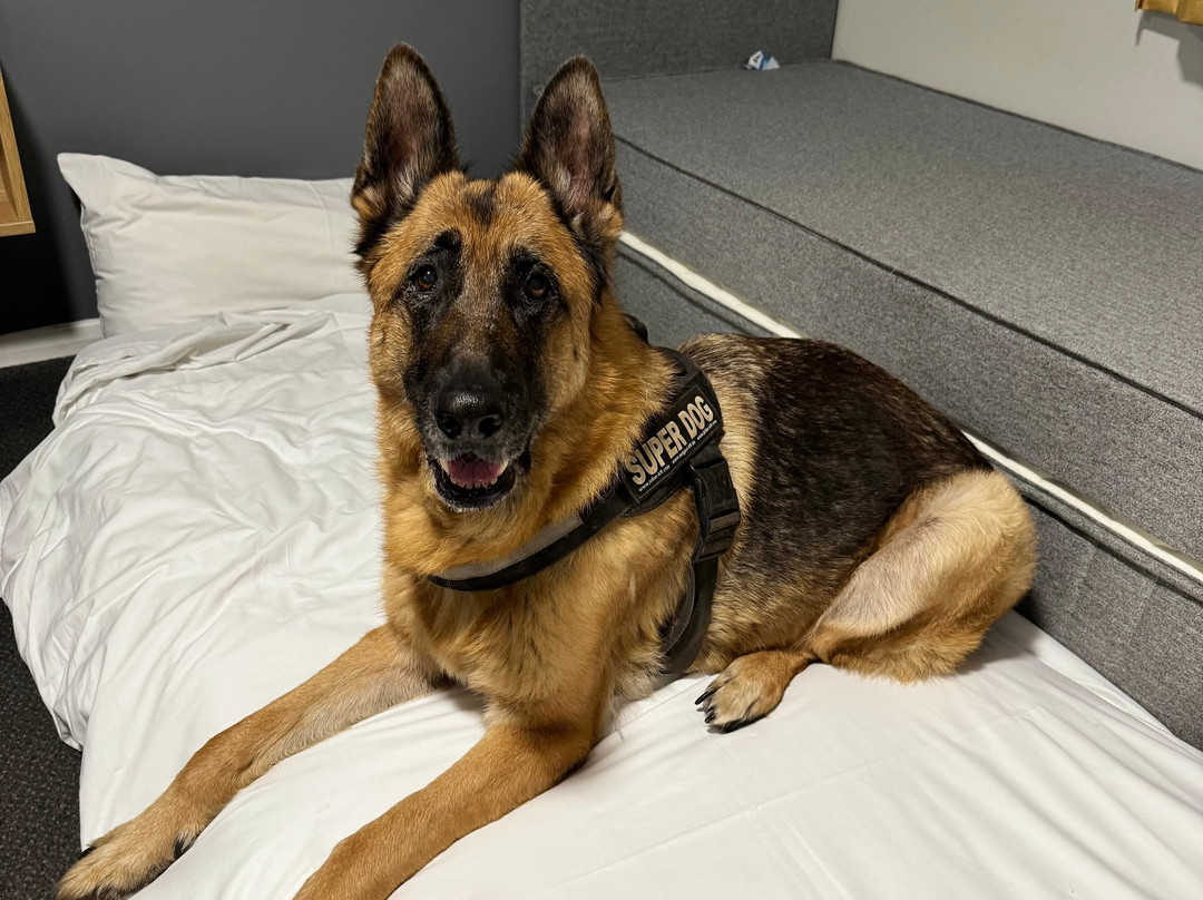 Days Inn Gretna Green A74主图