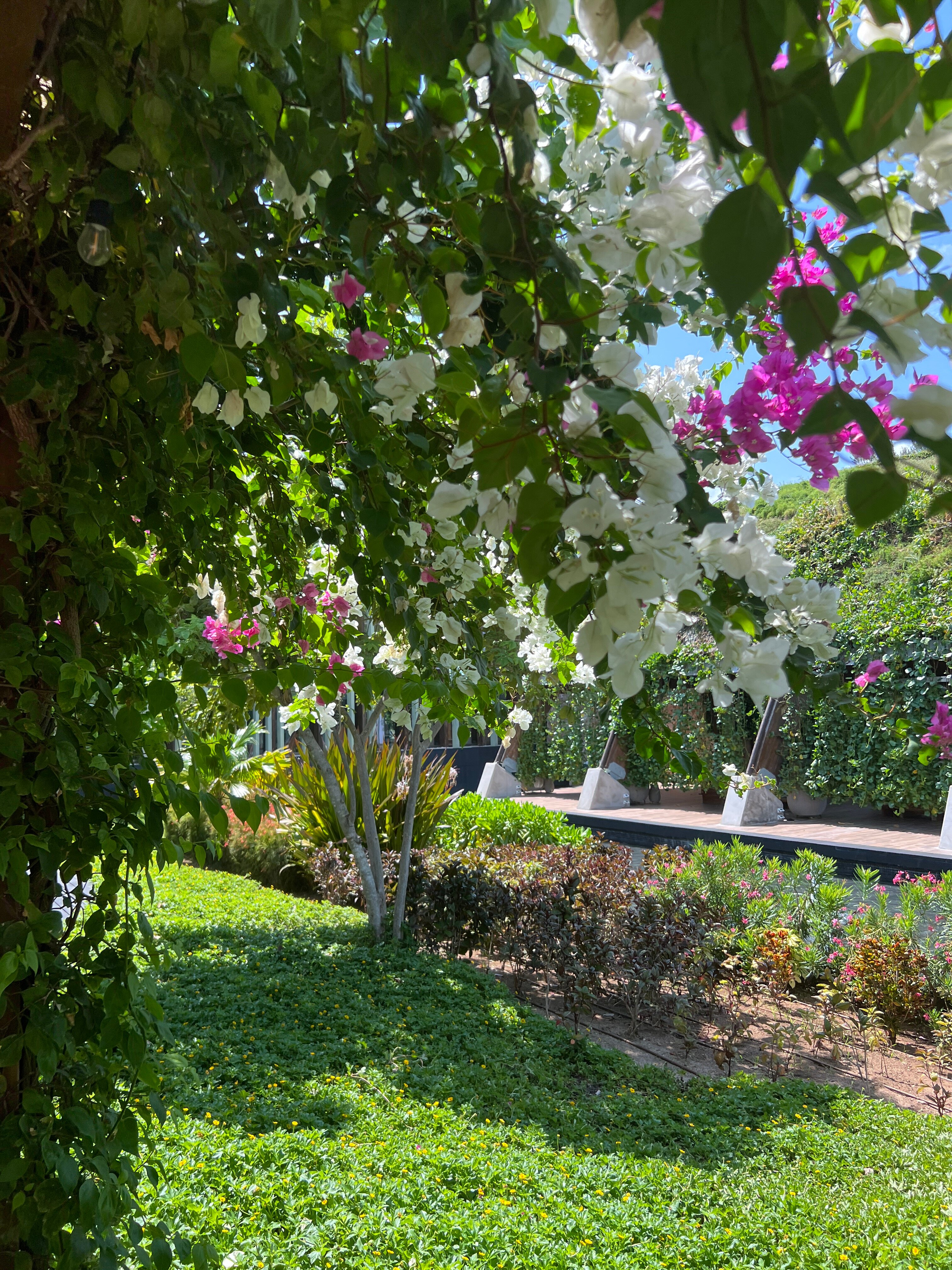 Catalonia Grand Costa Mujeres-浴室