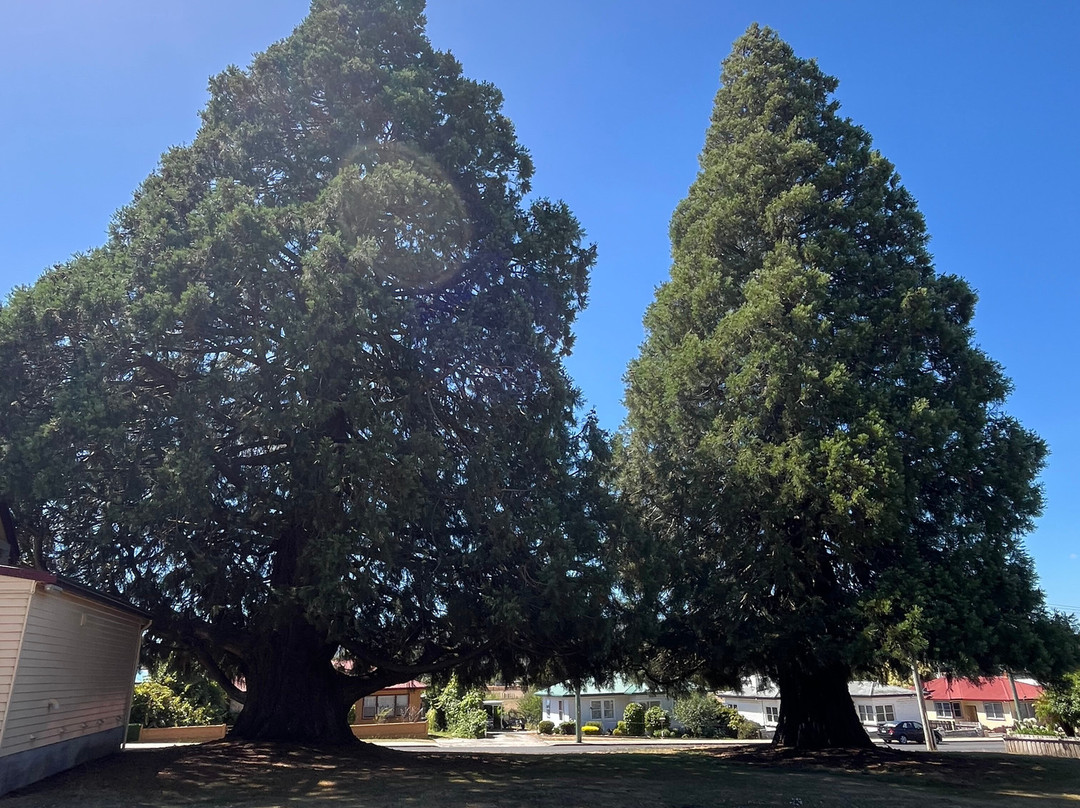 King George V Park-谢菲尔德必去景点