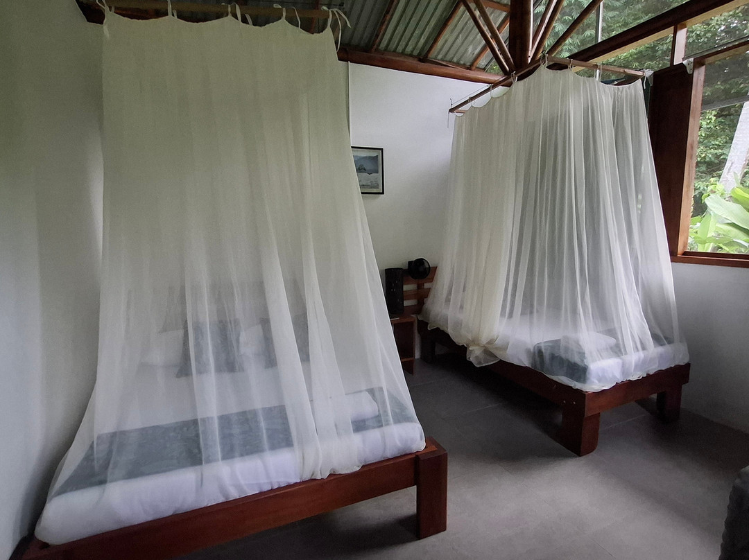 Osa Conservation Campus-希门尼斯港必去景点