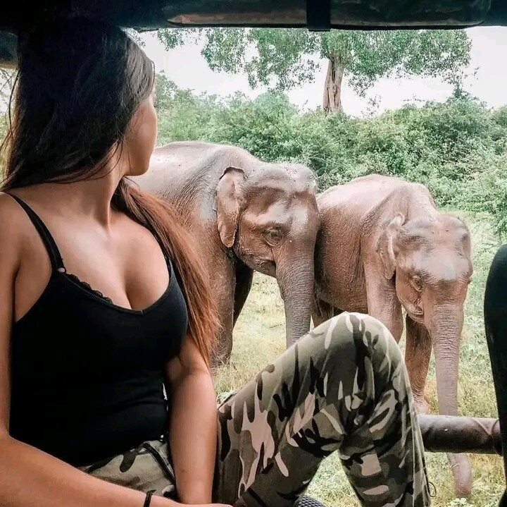 Yala Mk Safari Tour & Taxi Service-蒂瑟默哈拉默必去景点