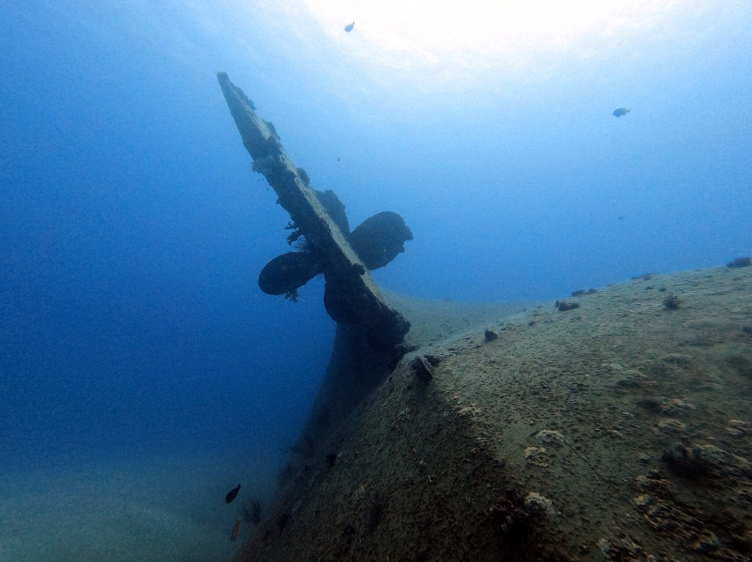 Diving World-大湾必去景点